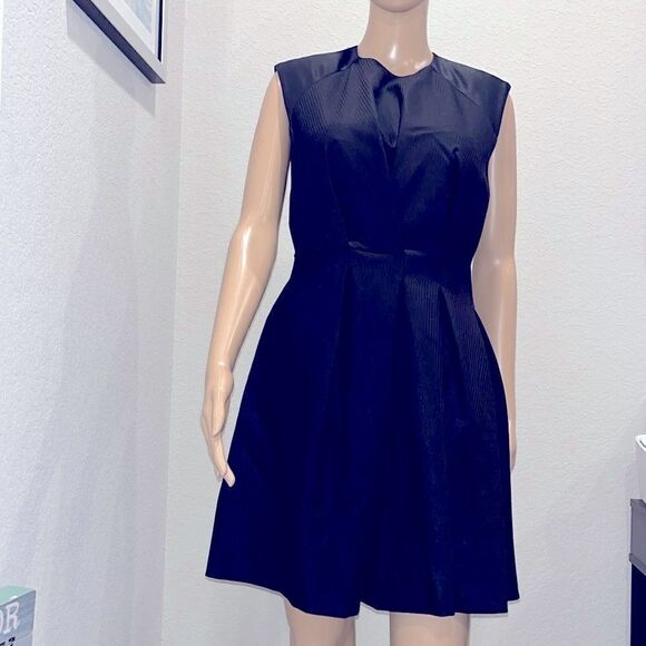 Nwot Sandro Paris pleated black textured dress, fully lined. Well made. - Picture 1 of 11